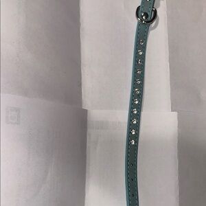 Elegant blue Studded pet collar